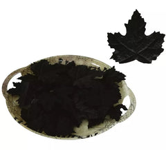 24 feuilles de citrouilles noires