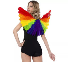 Ailes Arc-en-Ciel forme éventail de 50x70 cm