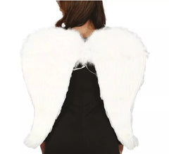 Ailes Blanches avec Plumes 80X60 cm