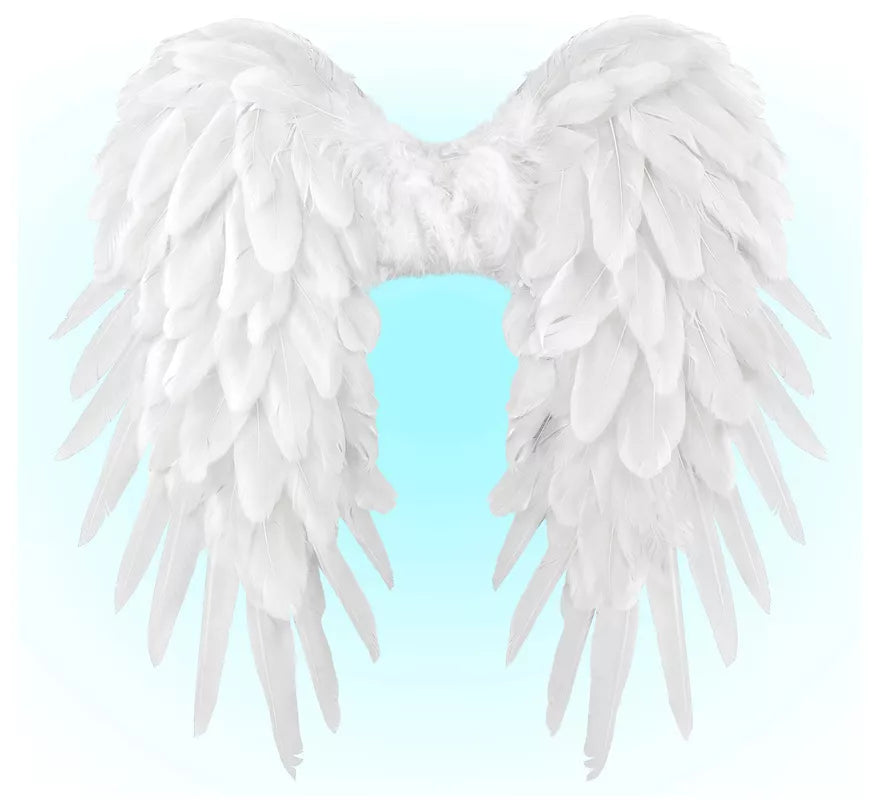 Translation missing: fr.Alas con Plumas de 50x50 cm Plegables en varios colores