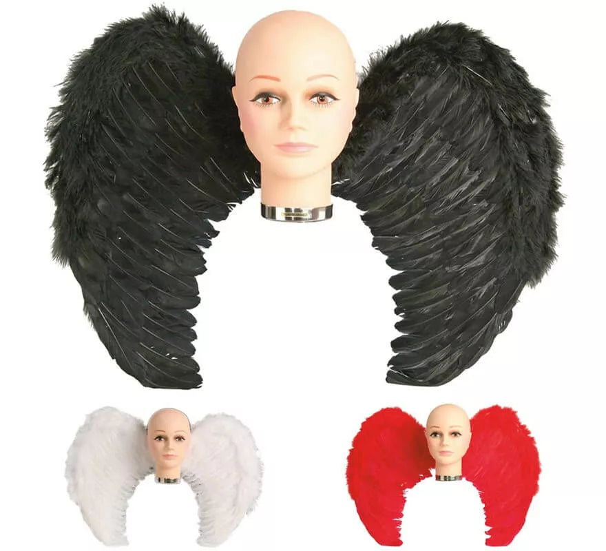 Translation missing: fr.Alas con plumas en varios colores 65 x 50 cm