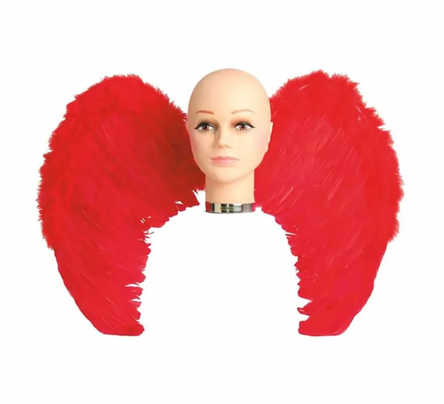 Translation missing: fr.Alas con plumas en varios colores 65 x 50 cm