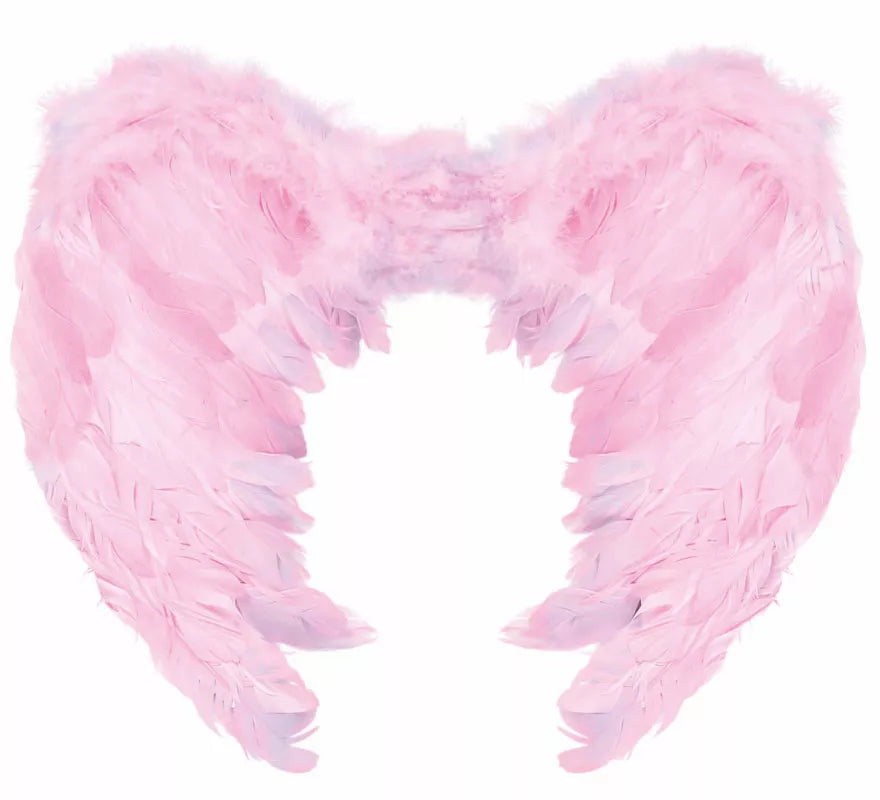 Alas con Plumas Rosa de 50X40 cm
