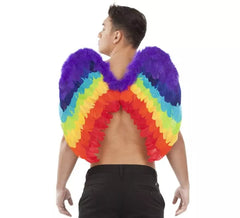 Ailes d´Ange Arc-en-Ciel