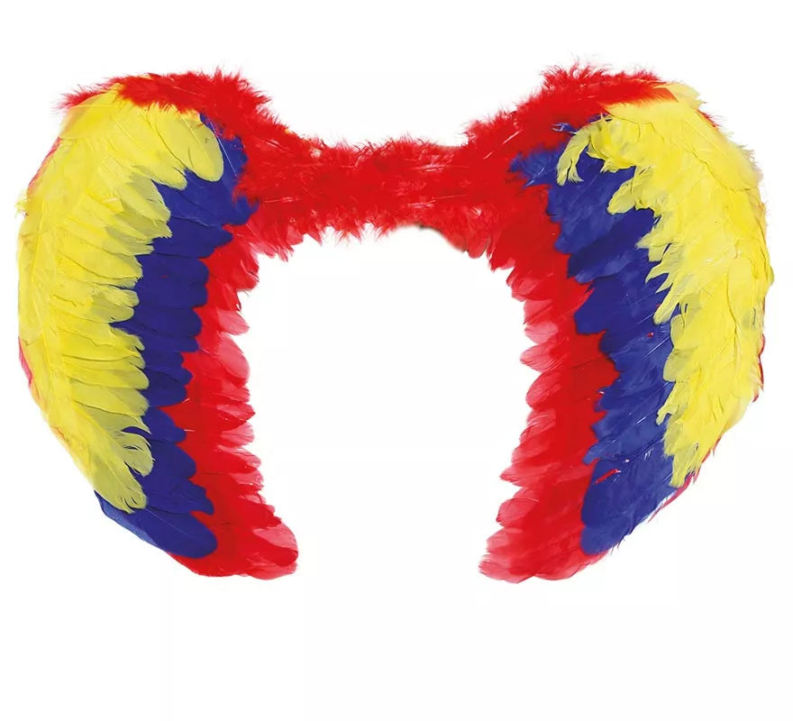 Alas de Plumas Multicolor 80 X 50 cm