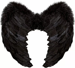 Ailes Plumes Noires 50x40 cm