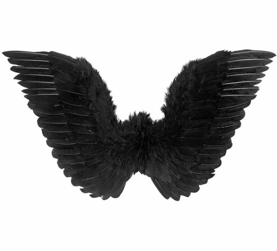 Translation missing: fr.Alas negras con Plumas 78x36 cm