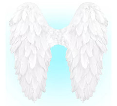 Ailes en plumes pliables 50x50 cm en différentes couleurs
