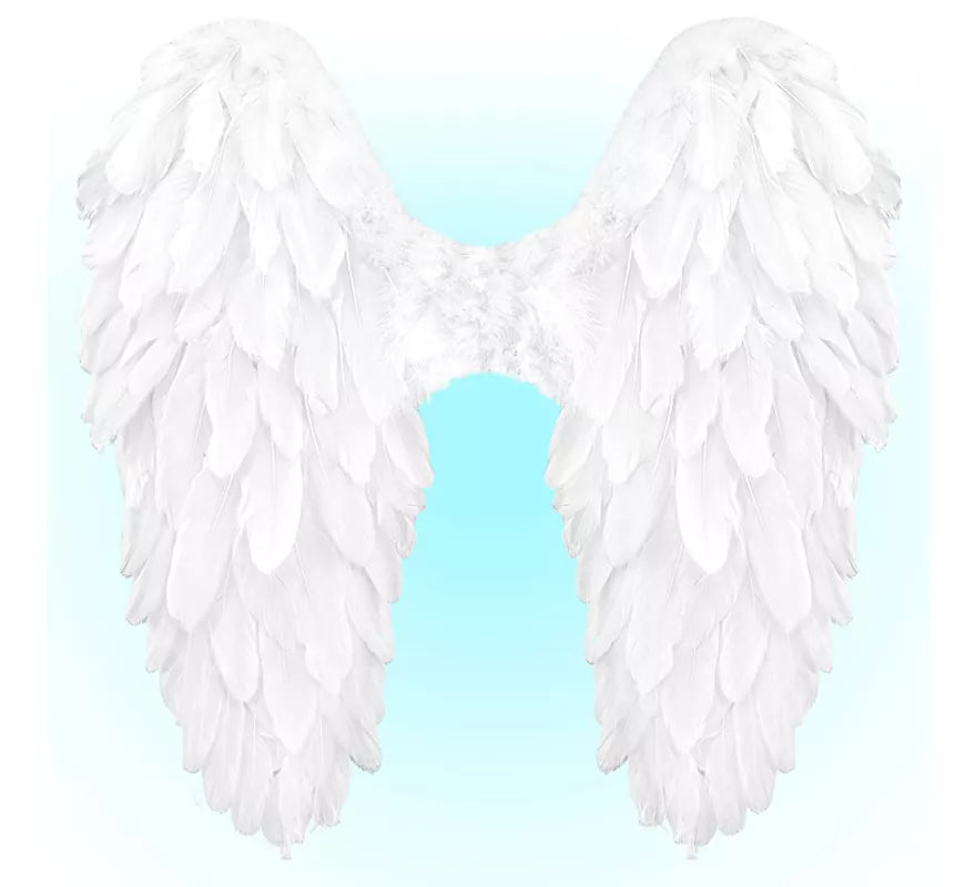 Translation missing: fr.Alas Plegables de Plumas de 50x50 cm en varios colores
