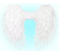 Ailes en plumes pliables 80x60 cm en différentes couleurs