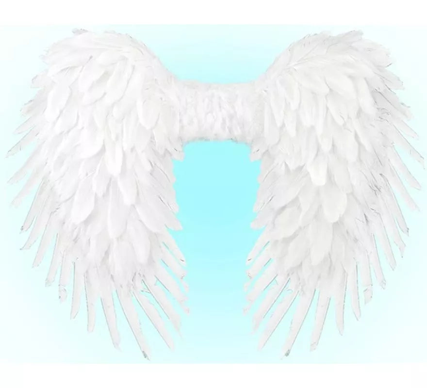 Translation missing: fr.Alas Plegables de Plumas de 80x60 cm en varios colores