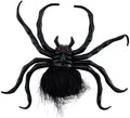 Araña 18x16 cm