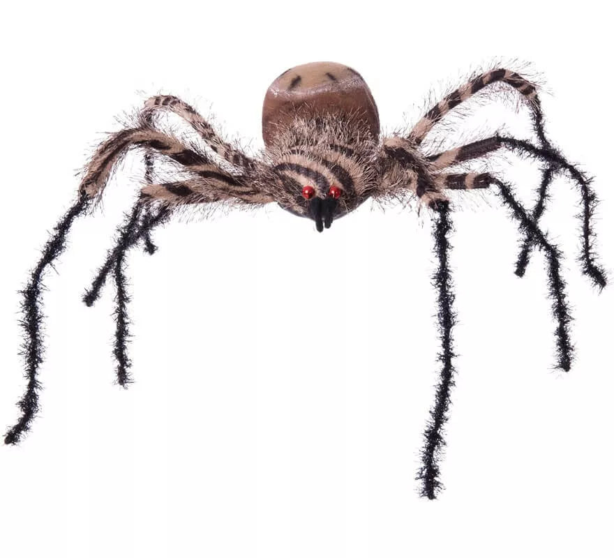 Translation missing: fr.Araña Cebra Grande de 54x44x10 cm
