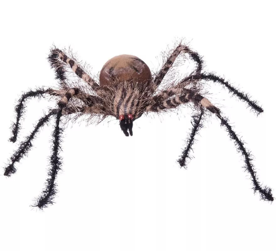 Translation missing: fr.Araña Cebra Pequeña de 38x34x8 cm