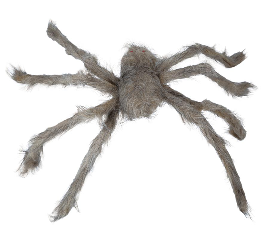 Translation missing: fr.Araña con Ojos Rojos 60 cm