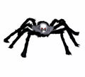 Araña de 60 cm
