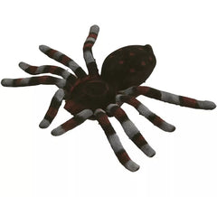 Araignée Géante Marron et Grise 15 cm