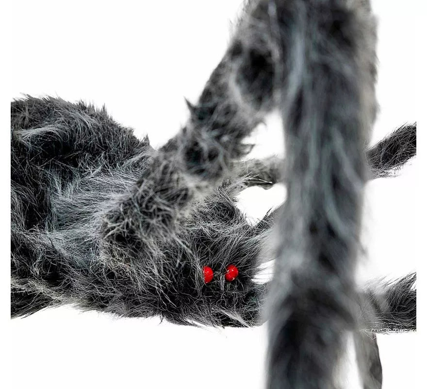 Translation missing: fr.Araña gris patas largas y finas de 80x18x8 cm