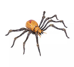 Araignée marron 21x14x4 cm