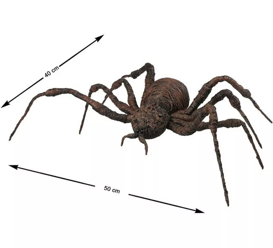 Translation missing: fr.Araña Marrón de 50x40 cm