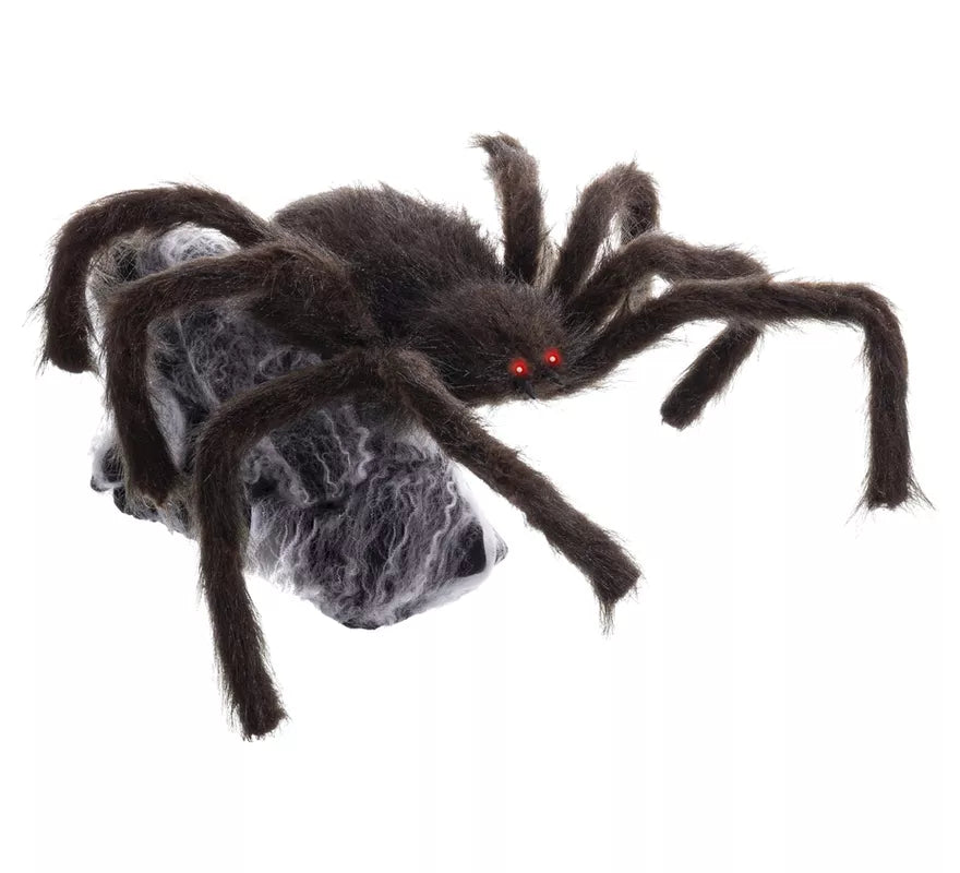 Translation missing: fr.Araña marrón y negra de 28x50x70 cm