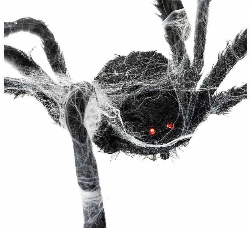 Translation missing: fr.Araña negra Caminante con telaraña de 80x18x8 cm