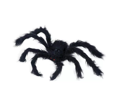 Araña Peluda negra de 50 cm