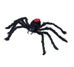 Araignée poilue noire dos rouge 60 cm