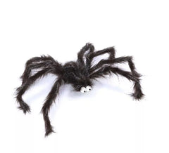 Araignée poilue aux yeux écarquillés 60 cm