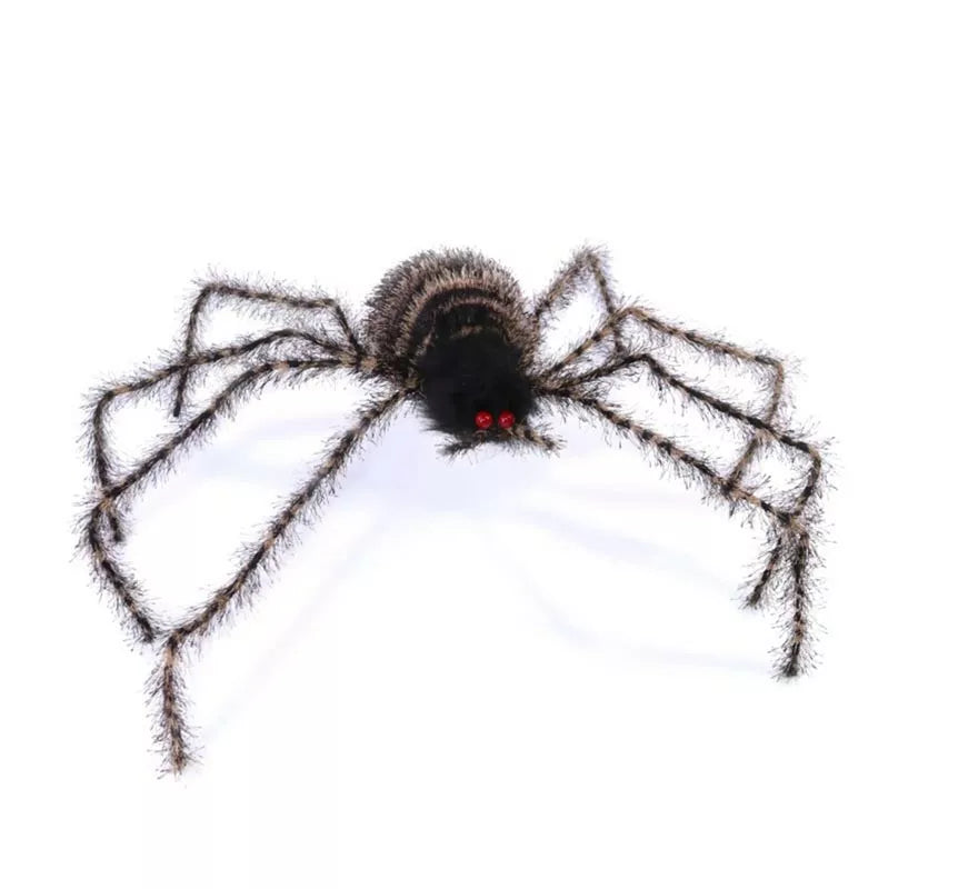 Translation missing: fr.Araña peluda patas largas de 70 cm
