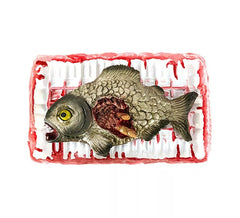 Plateau Piranha décomposé