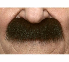 Moustache brune émoussée du sergent militaire