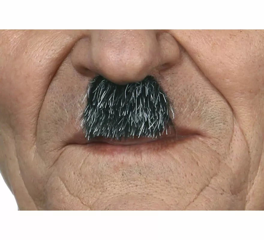Translation missing: fr.Bigote de Charlot canoso