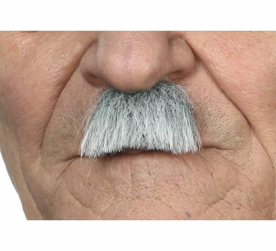 Translation missing: fr.Bigote de Charlot gris