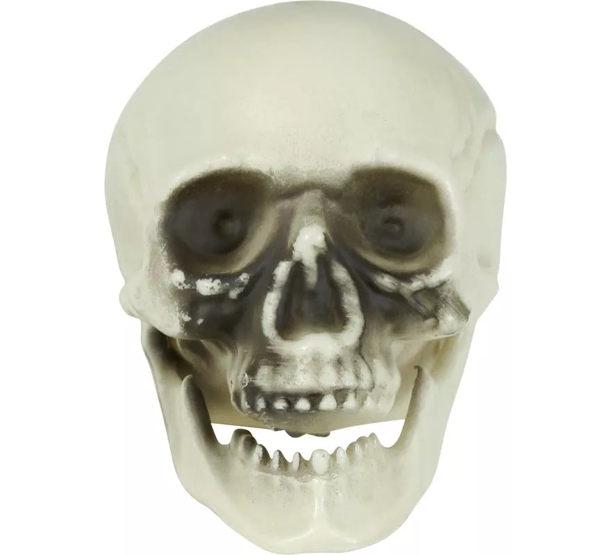 Translation missing: fr.Bolsa 6 Calaveras de 6 cm