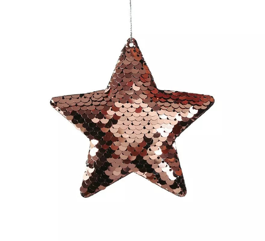 Bolsa de 2 Estrellas Lentejuelas Malva 8 cm
