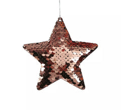 Sachet de 2 Paillettes Etoiles Mauve 8 cm