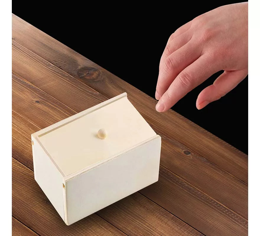 Translation missing: fr.Caja de Madera con Araña de Broma
