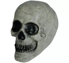 Crâne 20 cm