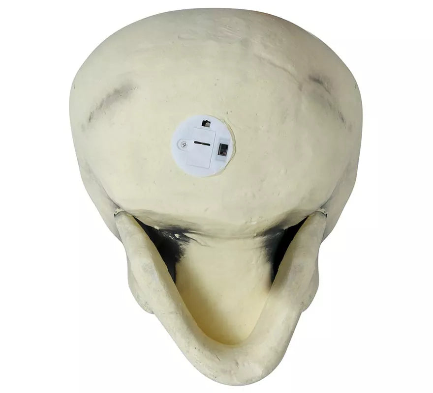 Translation missing: fr.Calavera 32 cm de Foam