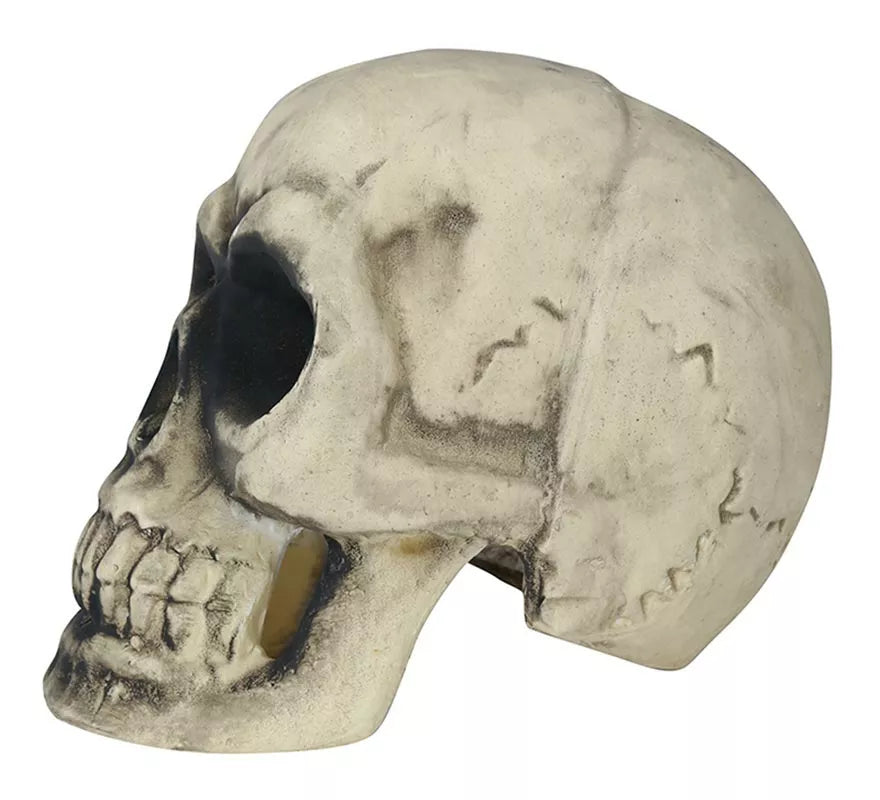 Translation missing: fr.Calavera 32 cm de Foam