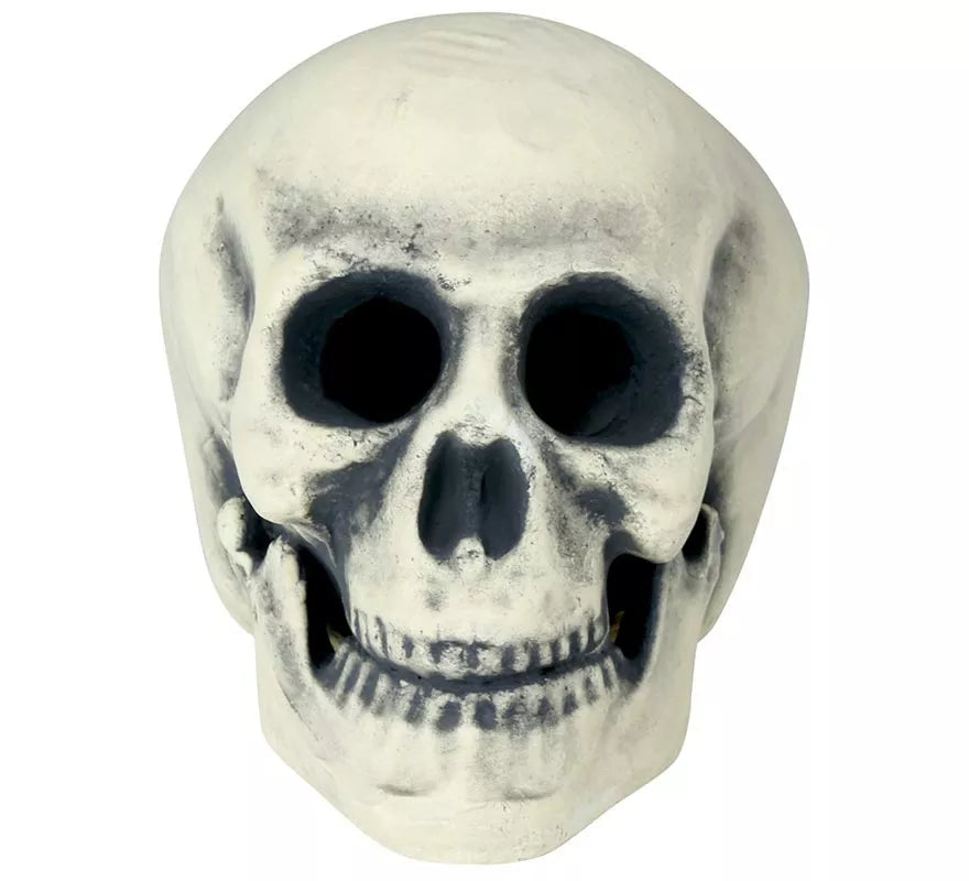 Translation missing: fr.Calavera 32 cm de Foam
