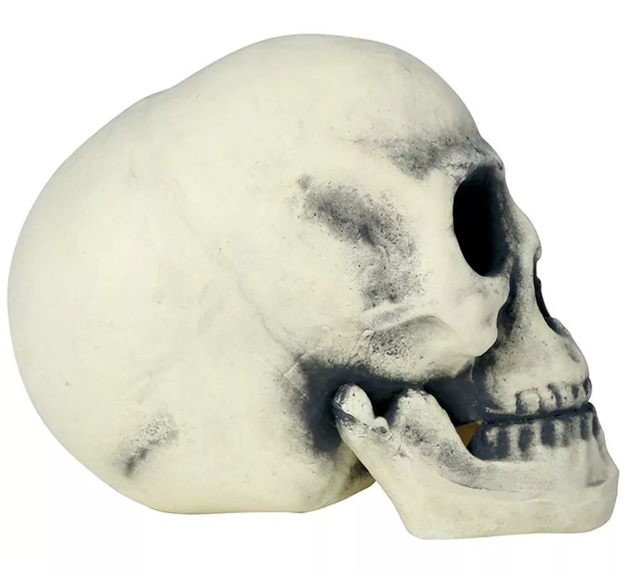 Translation missing: fr.Calavera 32 cm de Foam