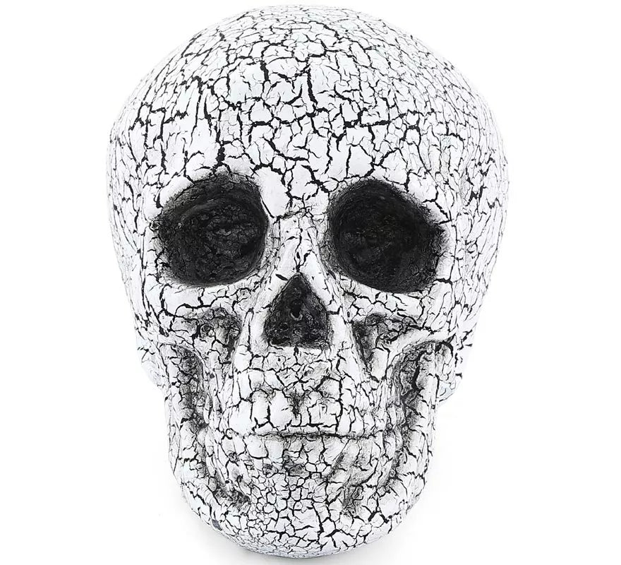Translation missing: fr.Calavera Agrietado de 20x15 cm