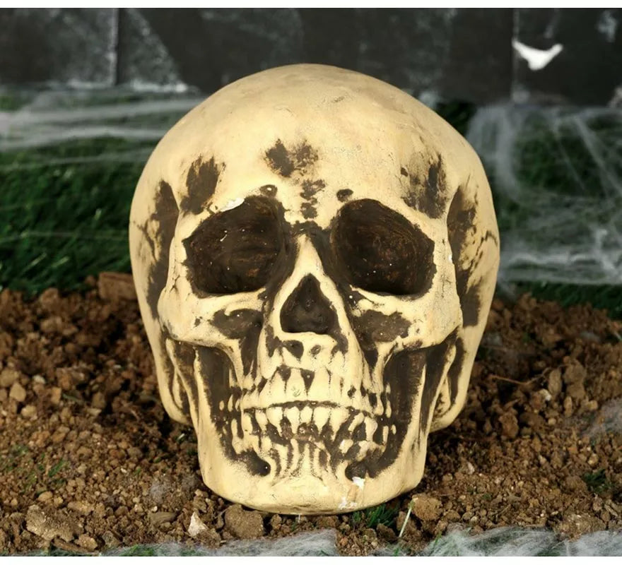 Translation missing: fr.Calavera Amarillenta 17 cm