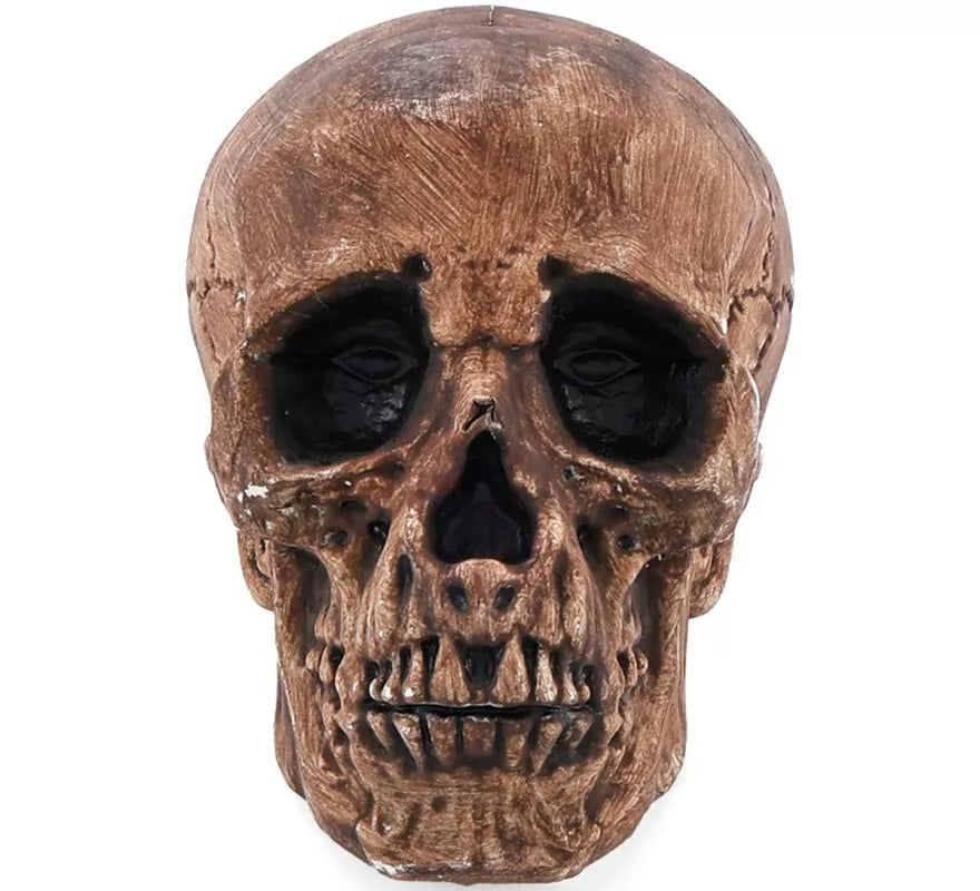 Translation missing: fr.Calavera Bronce de 16 cm