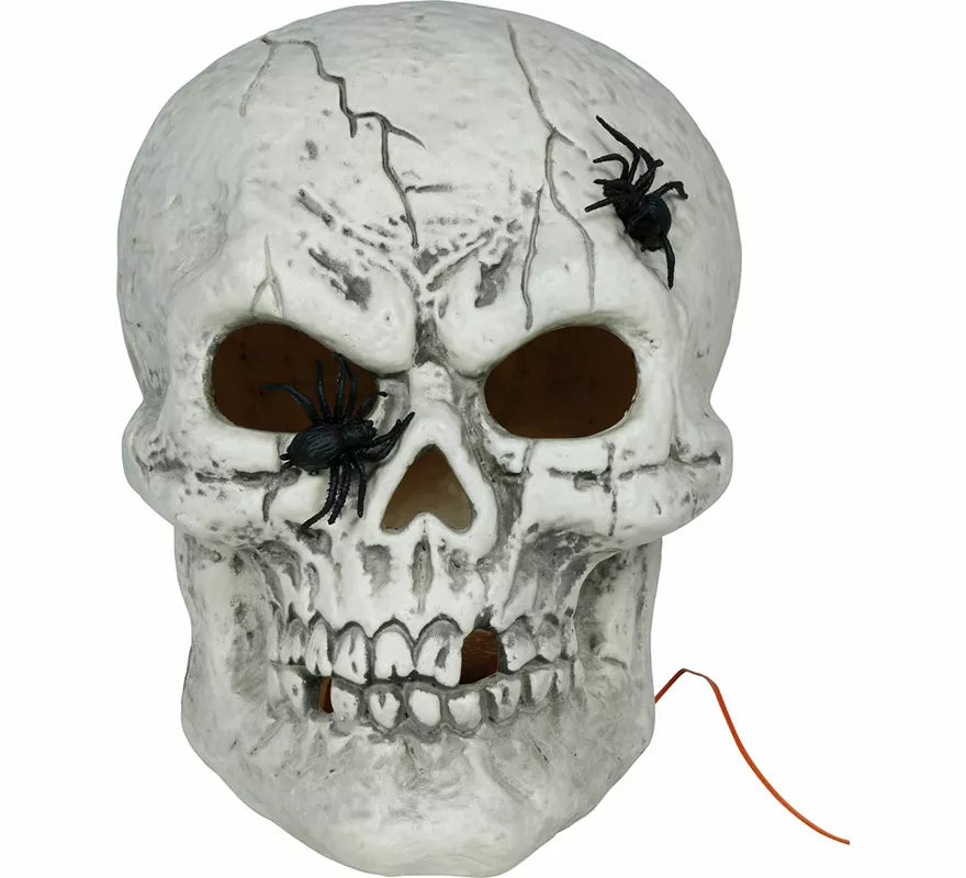 Calavera con Arañas con Luz de 35 cm