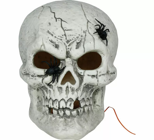 Calavera con Arañas con Luz de 35 cm