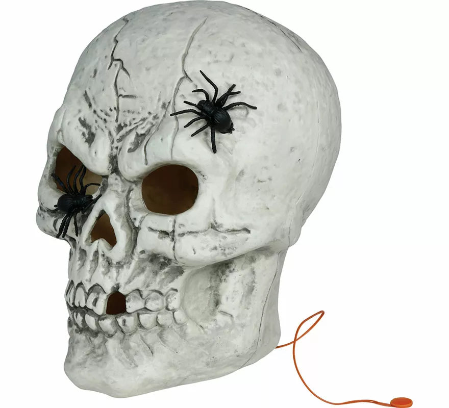Translation missing: fr.Calavera con Arañas con Luz de 35 cm