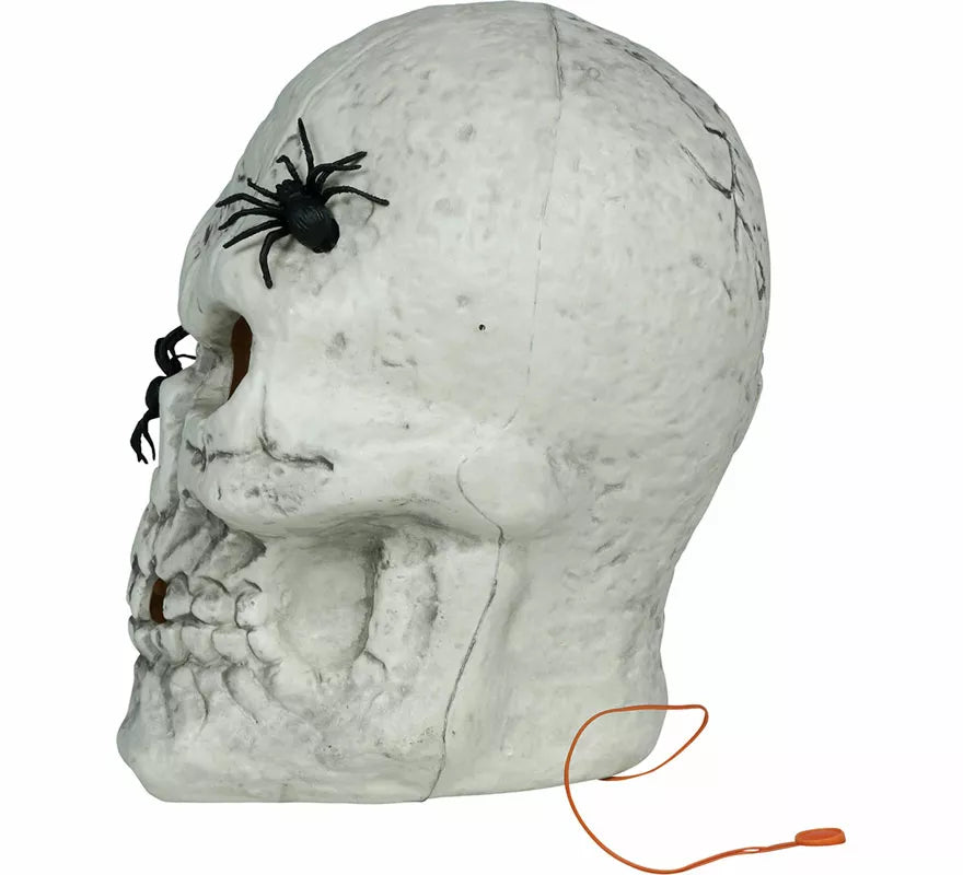 Translation missing: fr.Calavera con Arañas con Luz de 35 cm
